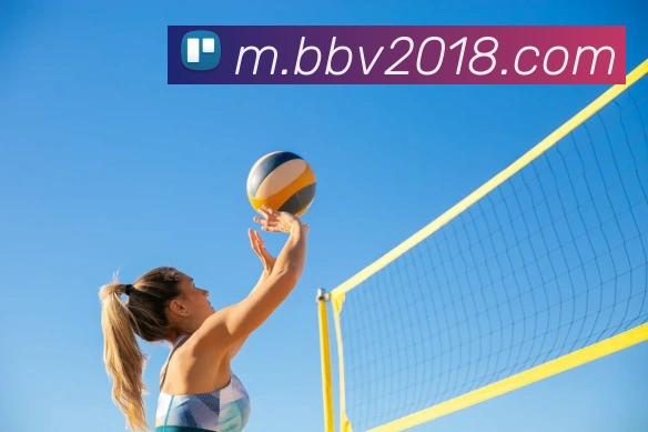 bbv体育官网平台生态图